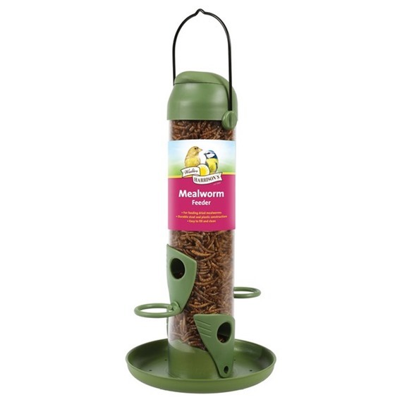 Flip Top Bird Feeding Bundle plus food