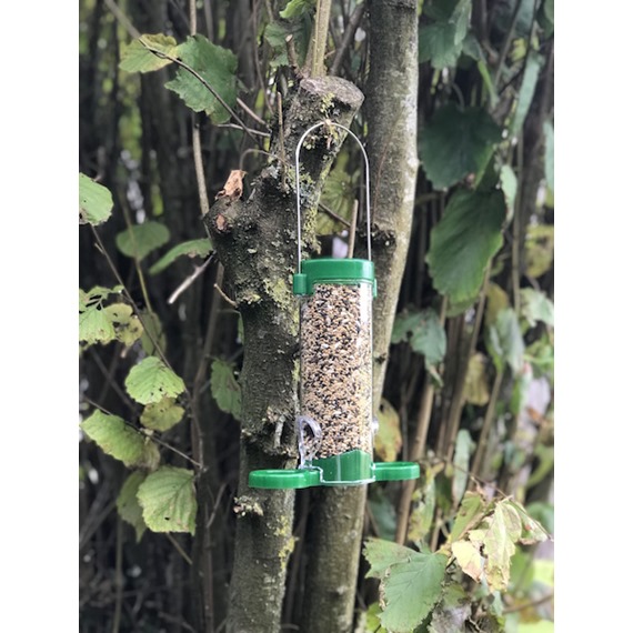 Get Set Go* Seed Feeder