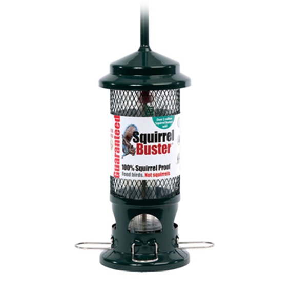 squirrel buster bird feeder