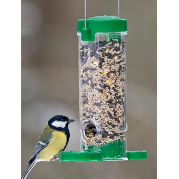 Get Set Go* Seed Feeder