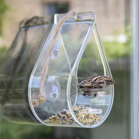 Dewdrop Window Bird Feeder