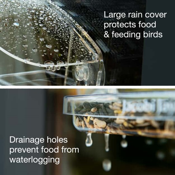 Sky Deck™ Window Bird Feeder