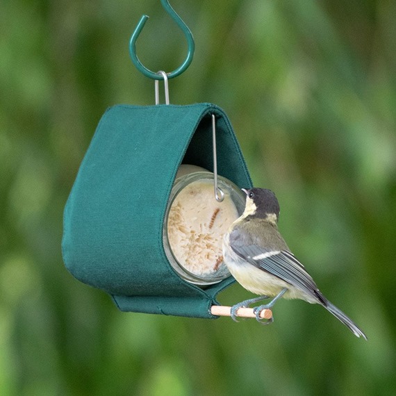 peanut butter holder for birds