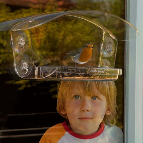 Sky Deck™ Window Bird Feeder