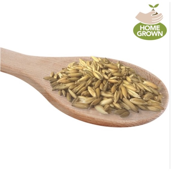 bulk oats for horses