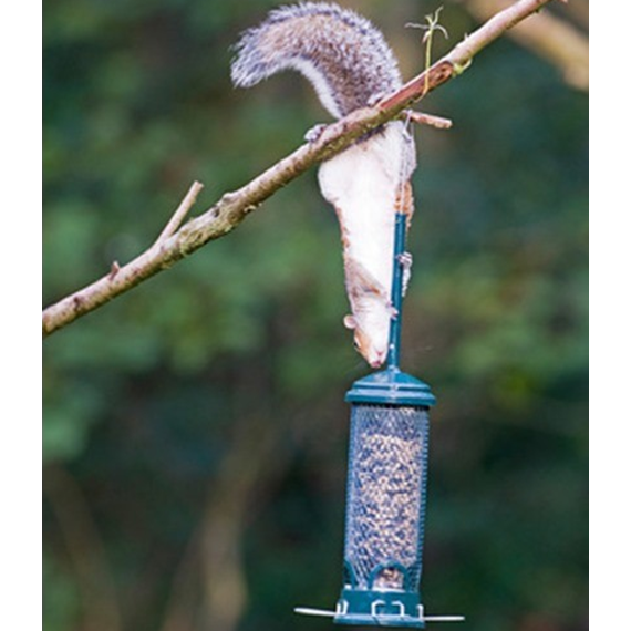 The Squirrel Buster™ Mini NOW 10%0FF