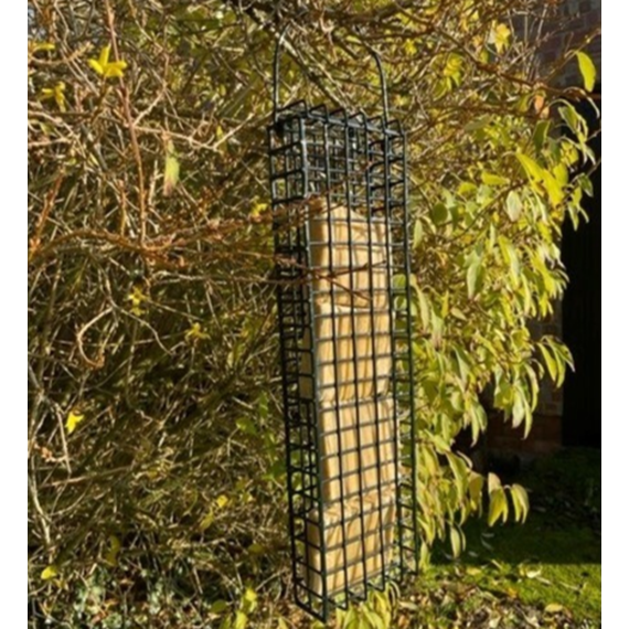 Honest 2 Nature Suet Cakes Buy 2 Boxes Receive a Free Feeder