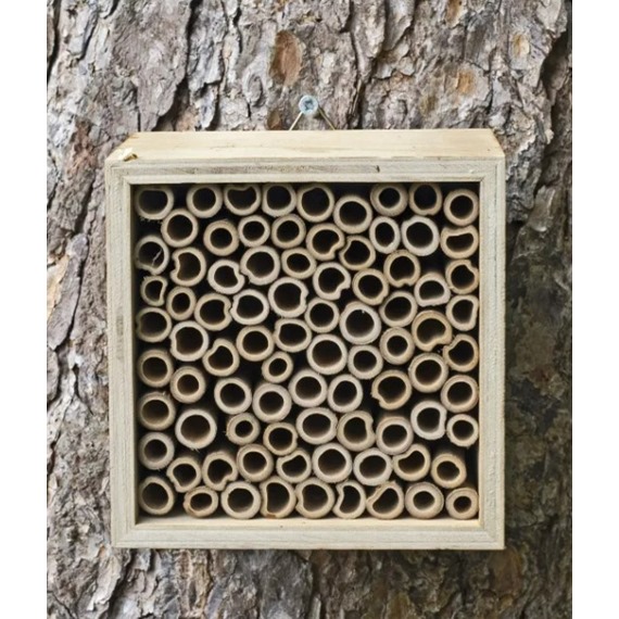 Nooks & Crannies Insect Block