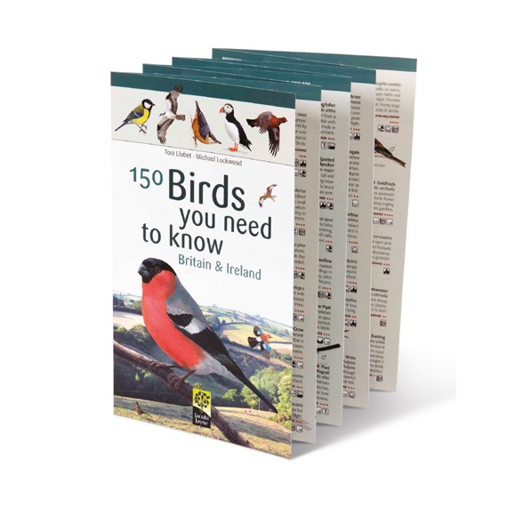 150 Birds You Need to Know