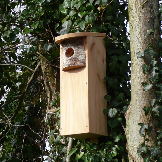 Woodpecker Nest Box