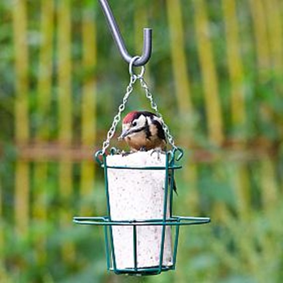 Round Metal Peanut Cake Feeder