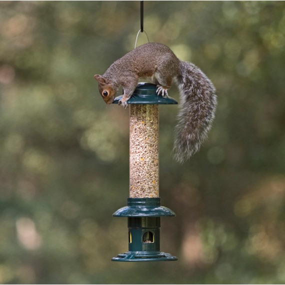 RSPB Squirrel Buster™ 