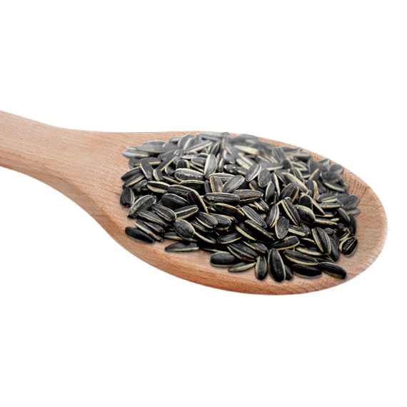 Striped Sunflower Seeds 