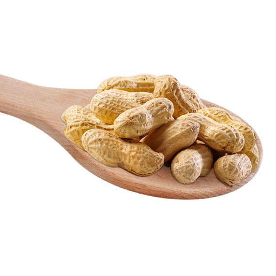 Peanuts in Shells (Monkey Nuts)