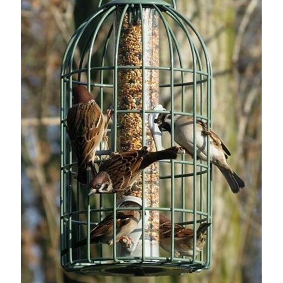 Nuttery Original Squirrel & Predator Proof Seed Feeder 