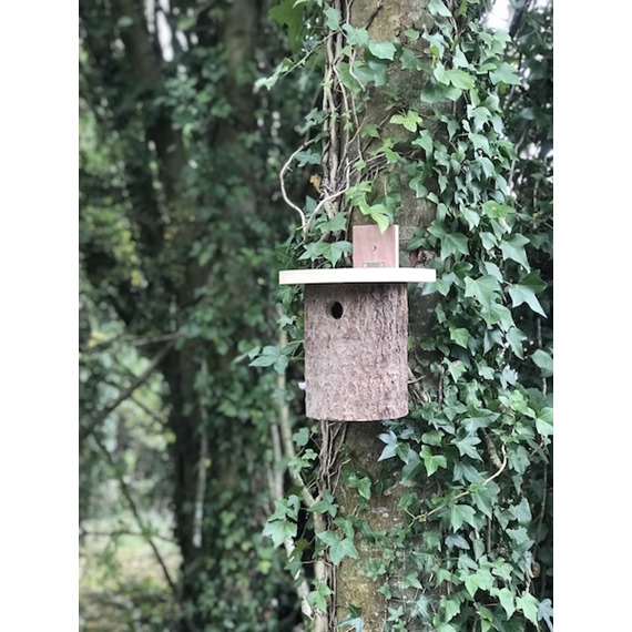 Natural Log Robin Nest Box 