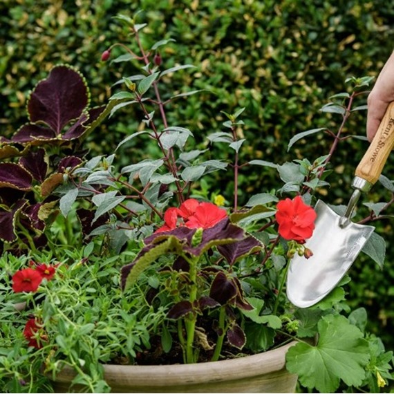 Kent & Stowe Garden Life Hand Trowel