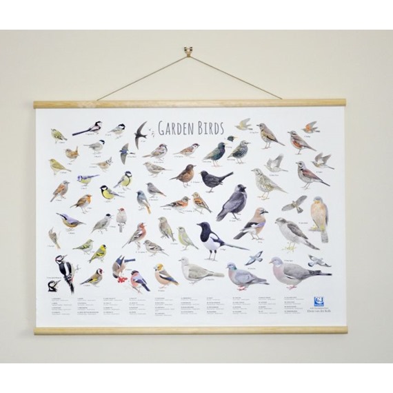 Hanging ID Wall Chart - Featuring Garden Birds
