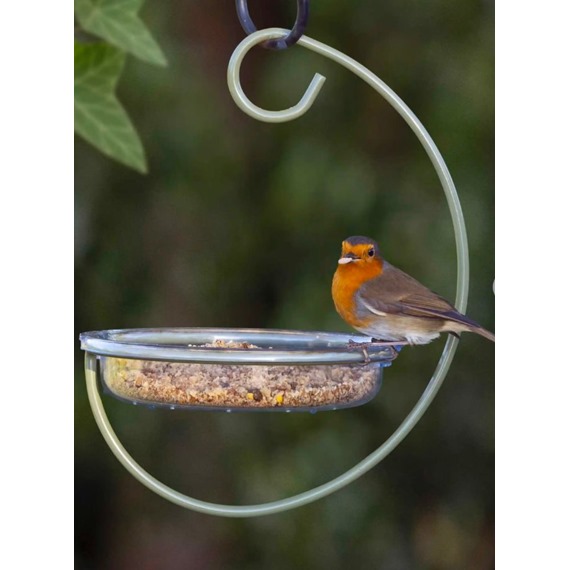 I Love Robins® Easy-clean Hanging Treat Dish