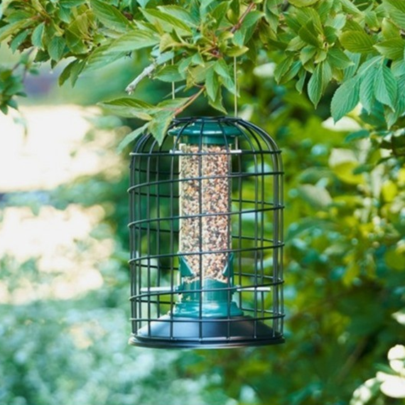 Harrisons Squirrel Proof Seed Feeder