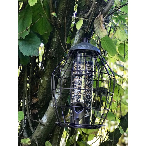 Secret Garden Squirrel Proof Seed Feeder