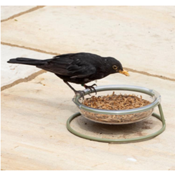 I Love Robin Easy-Clean Treat Dish 