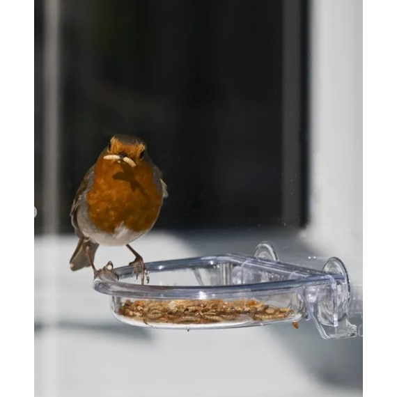  I Love Robins Window Treat Tray 