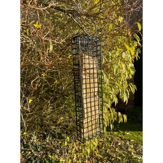 Quad Suet Feeder 