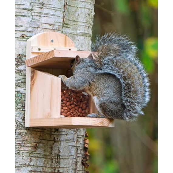  NutBox™ Squirrel Feeder