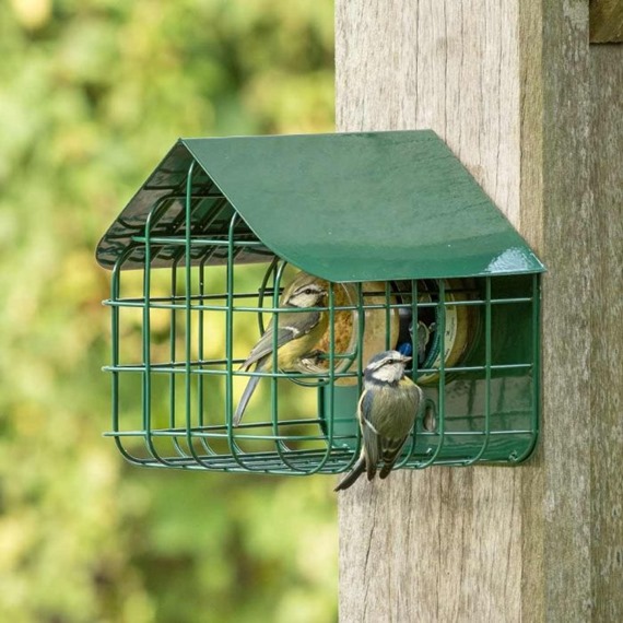 National Trust Waterford Peanut Butter Feeder with Guard
