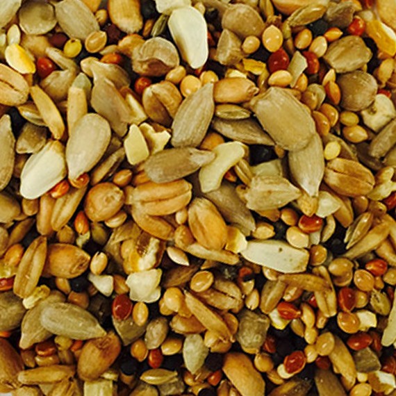 Original Farm Gold autumn bird feed