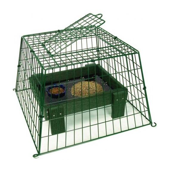 ground feeder guardian