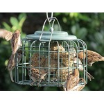 Nuttery Oval Caged Feeder