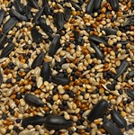 AB12 Small Seed Mix GOLD
