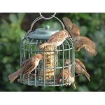 Nuttery Oval Caged Feeder