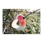 Ceramic Robin Feeder
