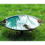 Anywhere Bird Bath