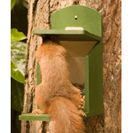 Tofino Squirrel Feeder