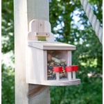 Fluffy Tail Cafe Squirrel Feeder