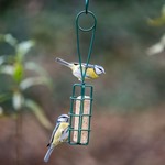 Peru Suet Log Scoop & Feed