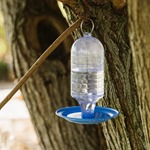 Water Drinker