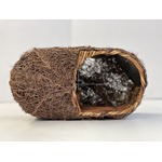 Simon King Brushwood Robin Nester