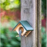 Cork Peanut Butter Wall Feeder