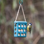 Rome Peanut Cake Feeder - Blue