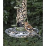 Ring Pull Small Seed Tray