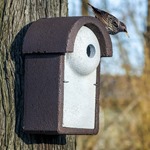 Woodstone Starling Nest Box