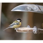 Bordeaux Window Feeder 