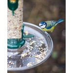 Ring Pull Large Tray