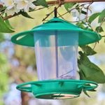 Eco-Blu Bird Seed Feeder
