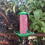 Gardman Berry Suet Treats 500g + 100% Extra Free 